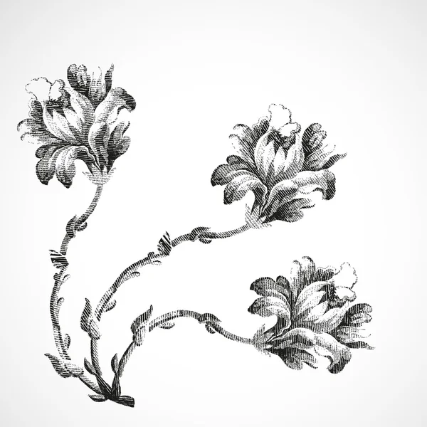 Hand-drawn bouquet of three flowers of lily, vintage isolated background vector — Stok Vektör