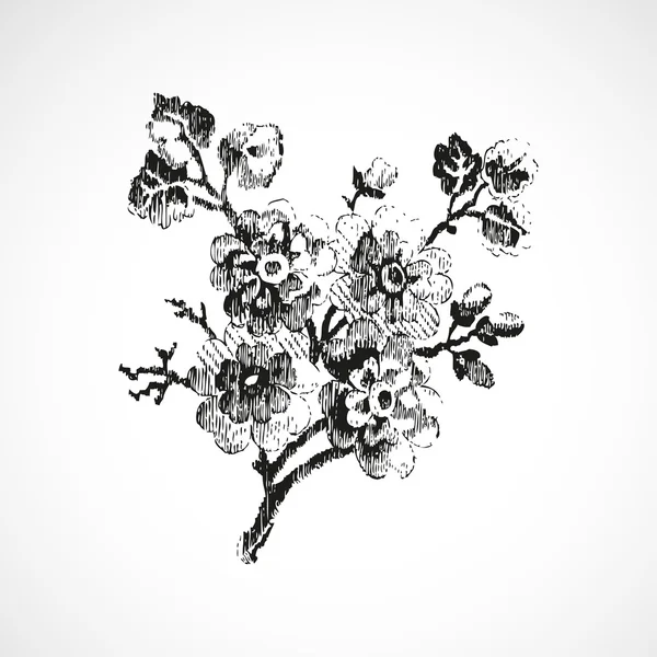 Ramita dibujada a mano con flores, vector de fondo aislado vintage — Vector de stock