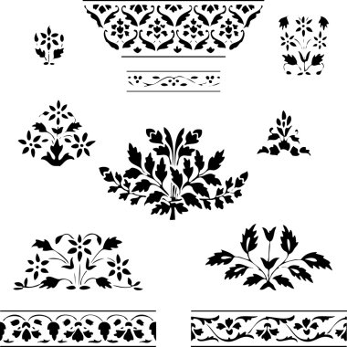 Vector illustration set blooming plant and border floral on white