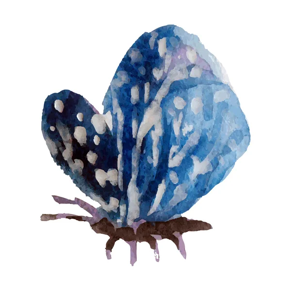 Aquarell-Schmetterling auf weißem Hintergrund Vektor Illustration — Stockvektor