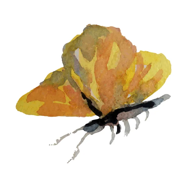 Mariposa acuarela sobre fondo blanco vector ilustración — Vector de stock