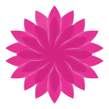 Güzel Lotus çiçek renk Heey vektör