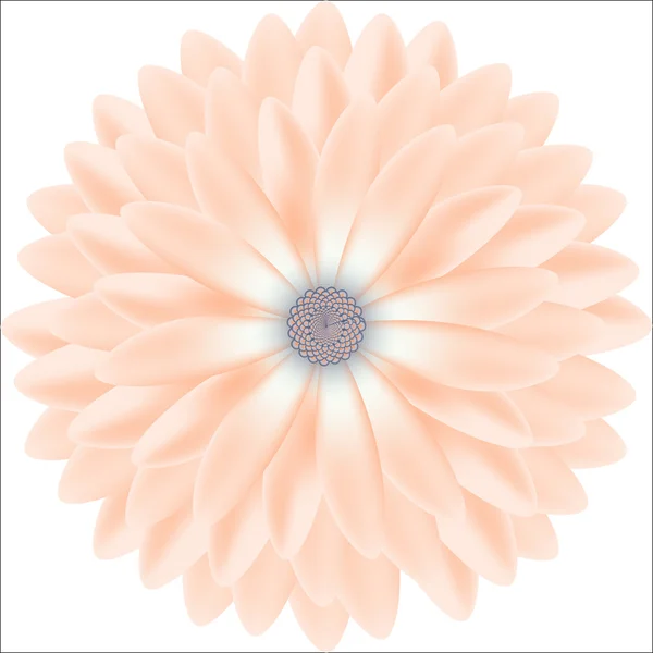 Tendre chrysanthème motifs ronds vecteur réaliste — Image vectorielle