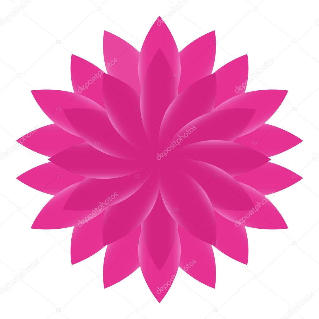 Beautiful Lotus Flower Color Whee vector