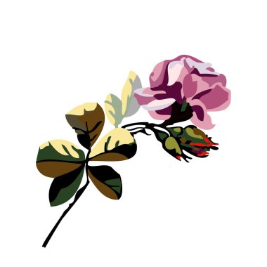 Güzel bir çiçek buket çiçek gül ve tomurcukları vektör