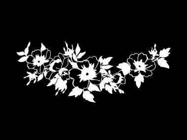 Güzel çiçek açması yabani gül dalı beyaz çiçekli