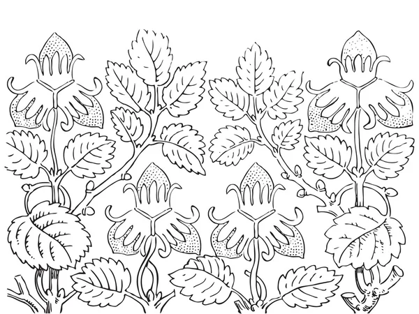 Ilustración dibujada a mano de arbustos de fresa vector . — Vector de stock