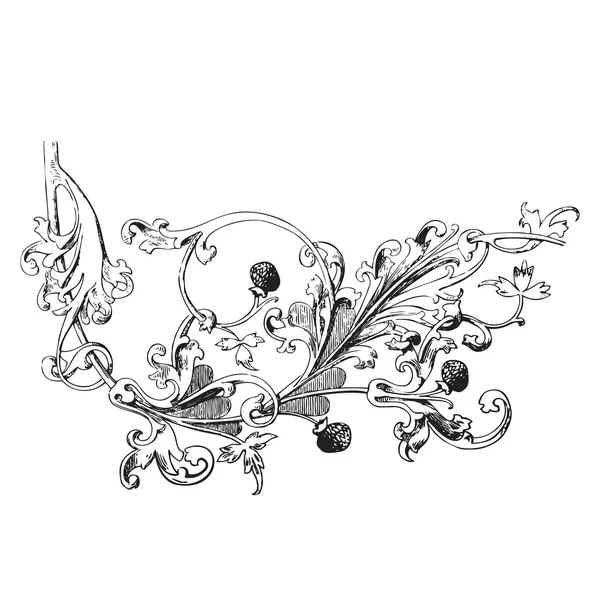 Illustrazione disegnata a mano del ramo di lampone Vettore barocco . — Vettoriale Stock