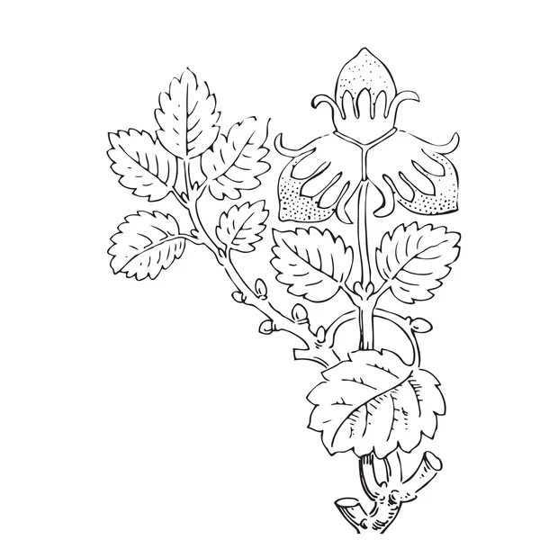 手でイチゴ茂みベクトルの図を描画. — ストックベクタ