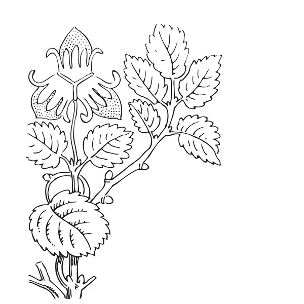 Illustration dessinée à la main du vecteur des fraisiers . — Image vectorielle
