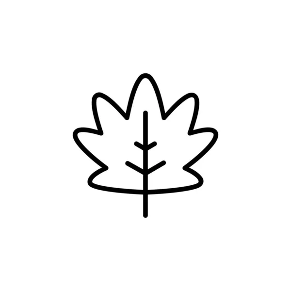 Autumn Leaf Icon Nature Icon Design Perfect Logo Presentation Book — Stock Vector