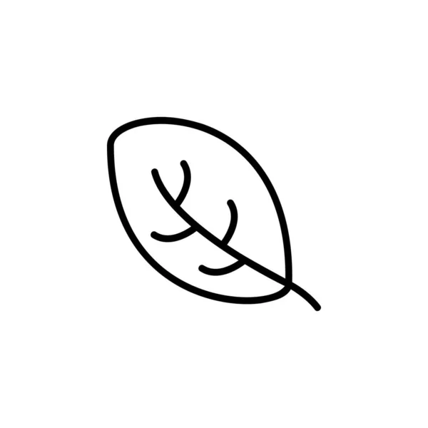 Icono Orgánico Diseño Del Icono Naturaleza Perfecto Para Logo Presentación — Vector de stock