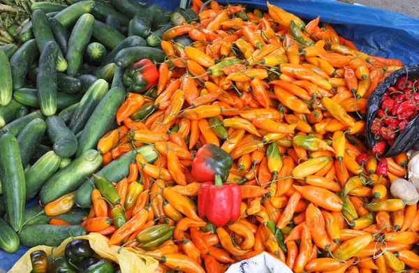 Oranžové chilli papriky a okurky — Stock fotografie