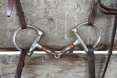 At D-Ring Snaffle Bit