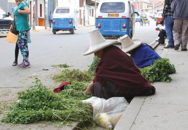 Yonca kadınlarla Sierra