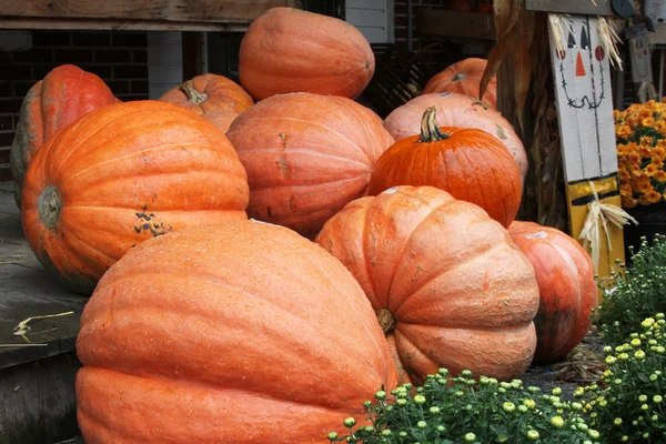 Giant Pumpkins on a Porch — Stock Photo, Image