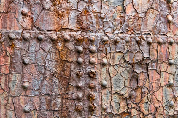 Belfast kuru havuzda büyük çelik kapıda, yakın çekim