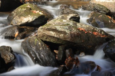 Cascades yapma kayalık zemin akan dağ dere