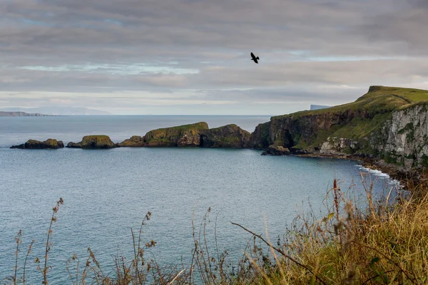 Norra Kustvägen Antrim Coast, County Antrim, Nordirland — Stockfoto