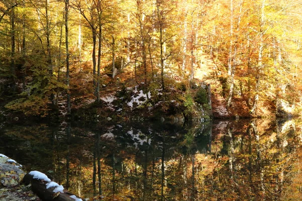 Hösten i Fusine sjöar naturpark, Italien — Stockfoto