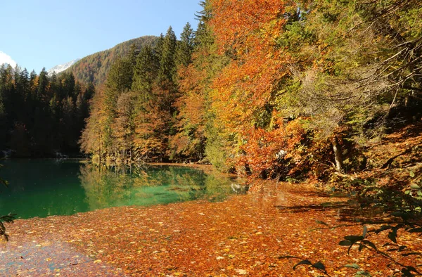 フサイン湖の秋自然公園、イタリア — ストック写真