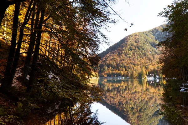Herbst im Naturpark Fusine Seen, Italien — Stockfoto
