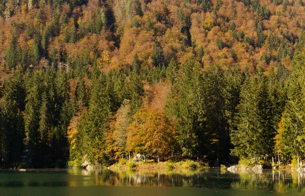 Autumn Fusine Lakes Natural Park Italy High Quality Photo — Stock Photo, Image