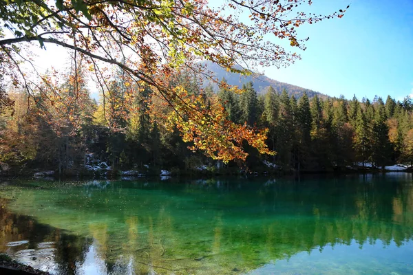 フサイン湖自然公園 イタリアの秋 高品質の写真 — ストック写真