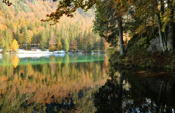 Musim Gugur Danau Fusine Natural Park Italia Foto Berkualitas Tinggi — Stok Foto