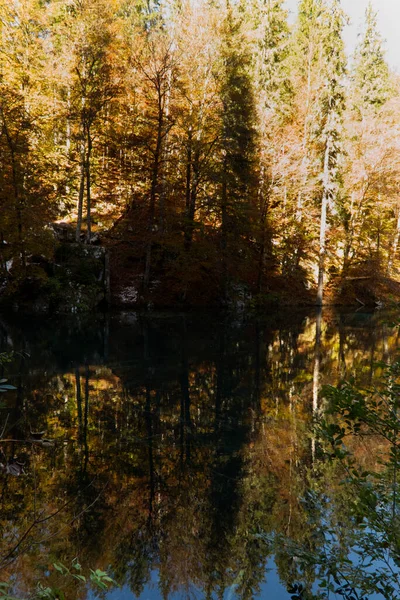 Hösten Fusine Sjöar Naturpark Italien Högkvalitativt Foto — Stockfoto