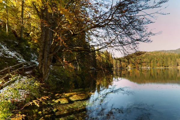 Hösten Fusine Sjöar Naturpark Italien Högkvalitativt Foto — Stockfoto
