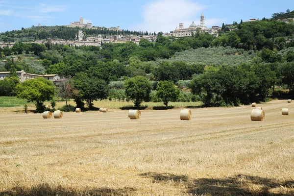 Countryside around the medieval town of Assisi