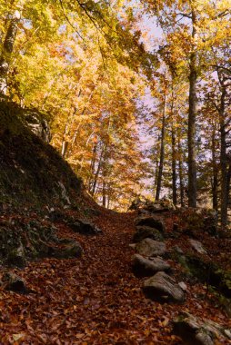 Fusine Gölü 'nde Sonbahar Doğal Parkı, İtalya