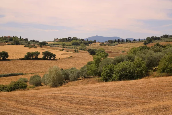 Panorama on the Umbrian countryside, Italy — Stock Photo, Image