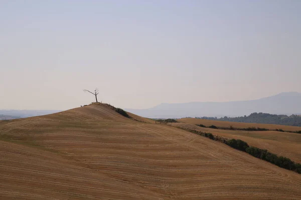 View of the Tuscan Countryside in Summer, Italy — Stock Photo, Image