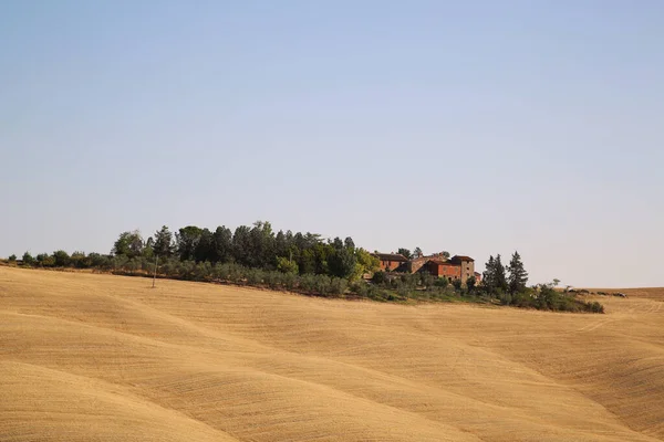 Vista de la campiña toscana en verano, Italia — Foto de Stock
