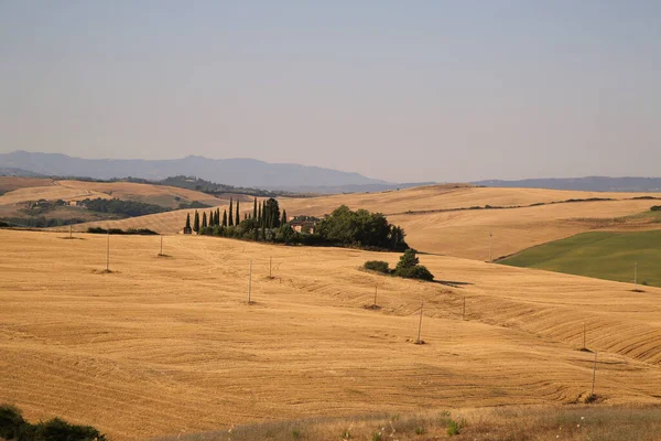 View of the Tuscan Countryside in Summer, Italy — Stock Photo, Image