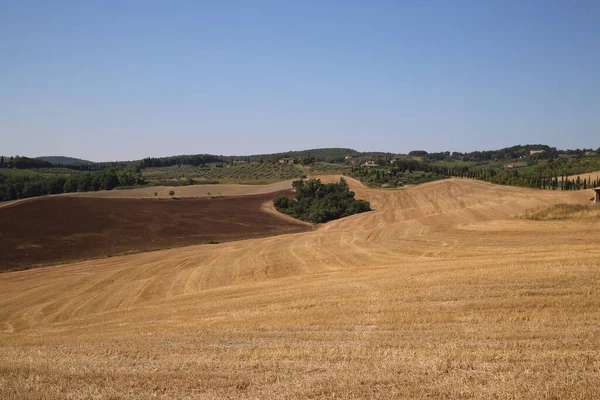 Vista sulla campagna toscana in estate, Italia — Foto Stock