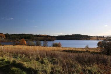 Sonbahar renklerine sahip İskoç manzarası