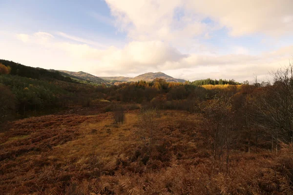 Szkocki krajobraz z kolorami jesieni — Zdjęcie stockowe