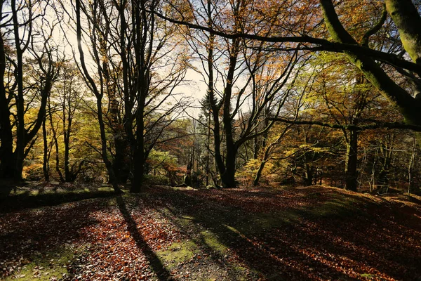 Die warmen Herbstfarben in Schottland — Stockfoto