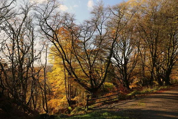 Höstens varma färger i Skottland — Stockfoto