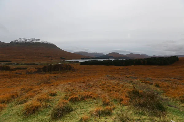 A skót felföld őszi tájképe — Stock Fotó