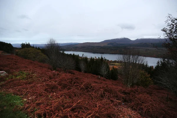 Ciepłe jesienne kolory szkockiego krajobrazu Highland — Zdjęcie stockowe