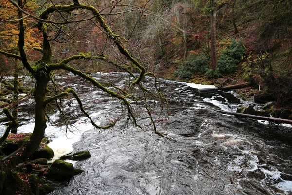 El sitio del Hermitage a orillas del río Braan en Craigvinean Forest, Escocia —  Fotos de Stock