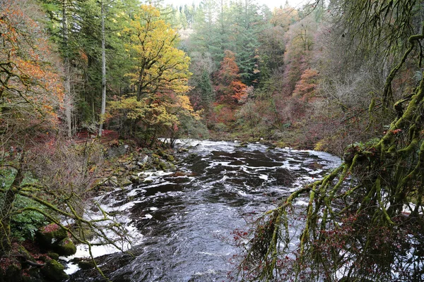 Le site de l'Ermitage sur les rives de la rivière Braan dans la forêt de Craigvinean, Écosse — Photo