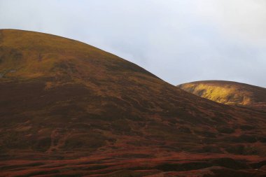 İskoçya 'da tipik sonbahar manzarası