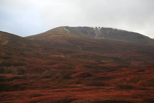 Τυπικό φθινοπωρινό τοπίο στη Σκωτία — Φωτογραφία Αρχείου