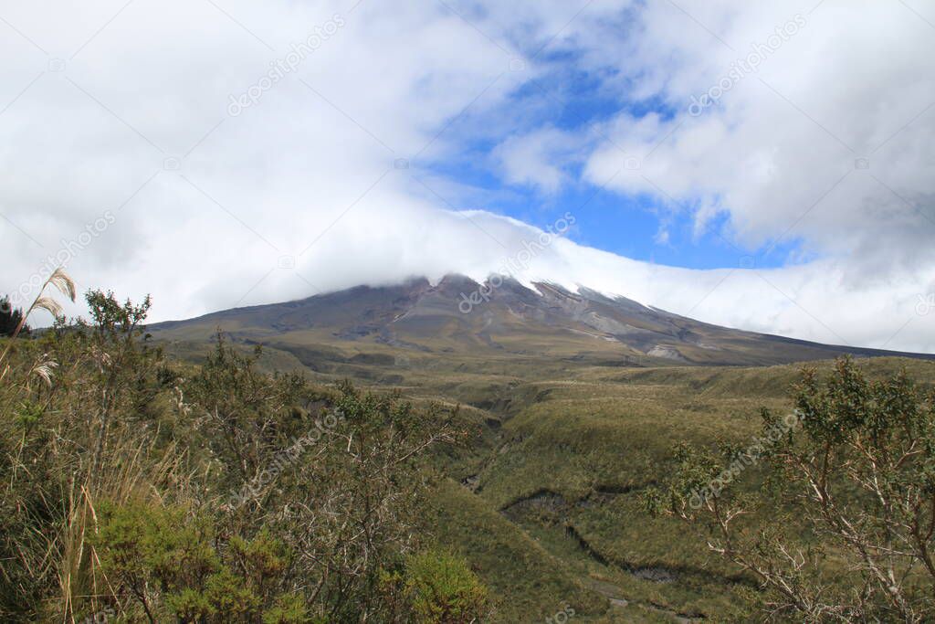 Natural landscape with Cotopaxi volcano in the background in Ecuador