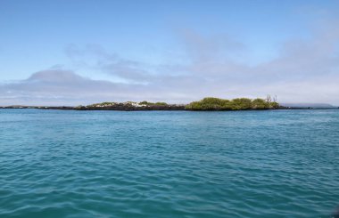 Galapagos Adaları 'ndaki karakteristik manzara